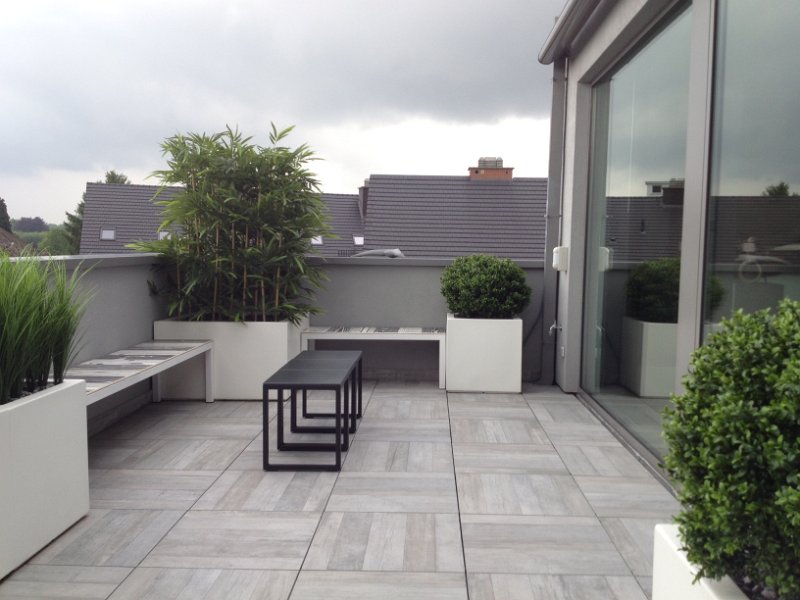 Bamboe Buxus en gras